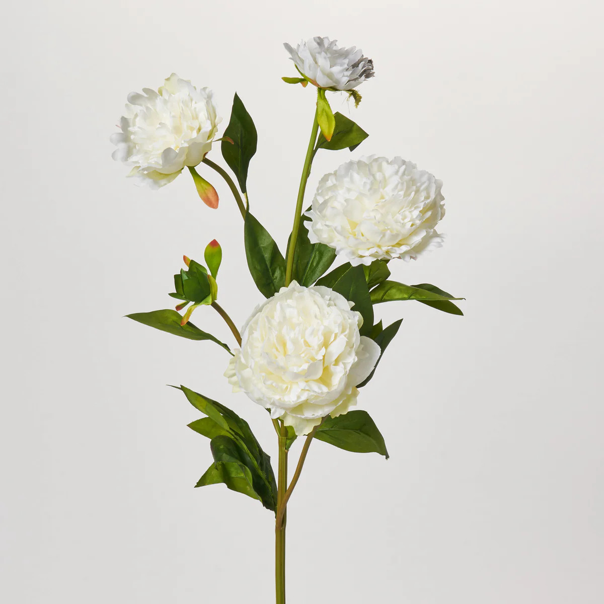 Creamy White Beauty Peony Blooms & Bud 31" Long Spring Faux Floral Stem Spray | Darby Creek Trading