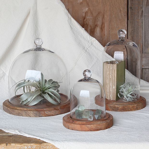 Handled Glass Dome | Antique Farm House