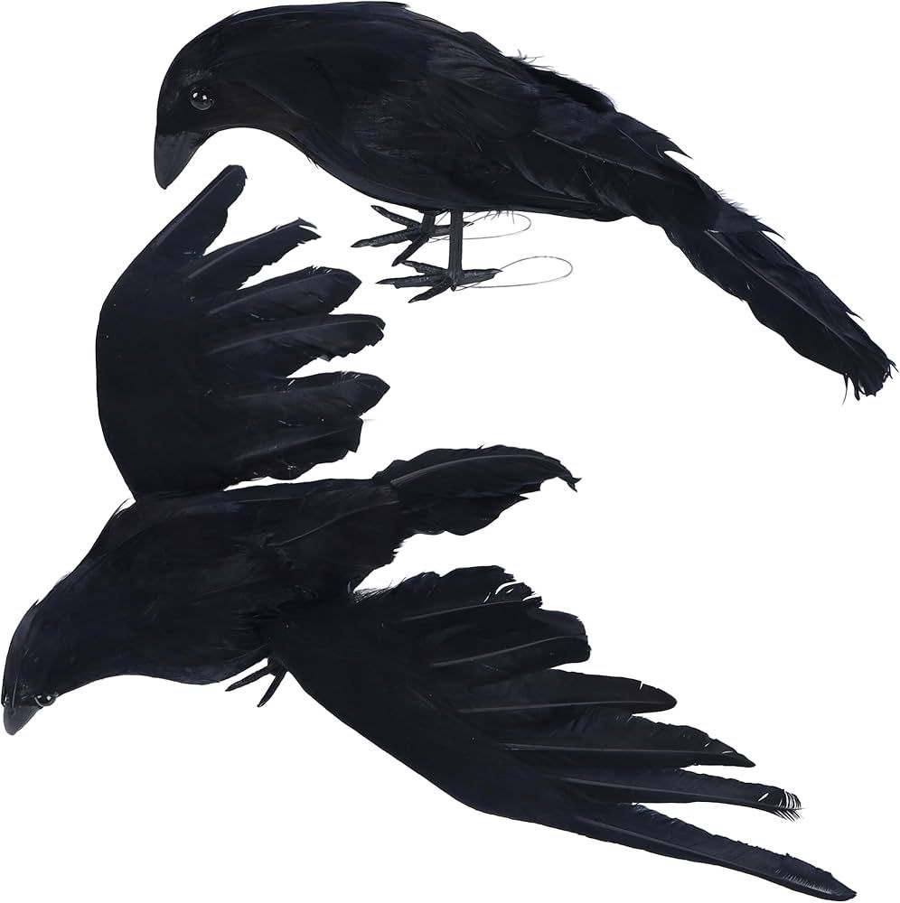 Amazon.com: YOFIT Halloween Crows Decorations, 2 Pcs Extra Large Realistic Crows Artificial Raven... | Amazon (US)