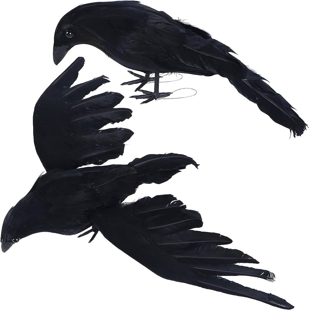 Amazon.com: YOFIT Halloween Crows Decorations, 2 Pcs Extra Large Realistic Crows Artificial Raven... | Amazon (US)
