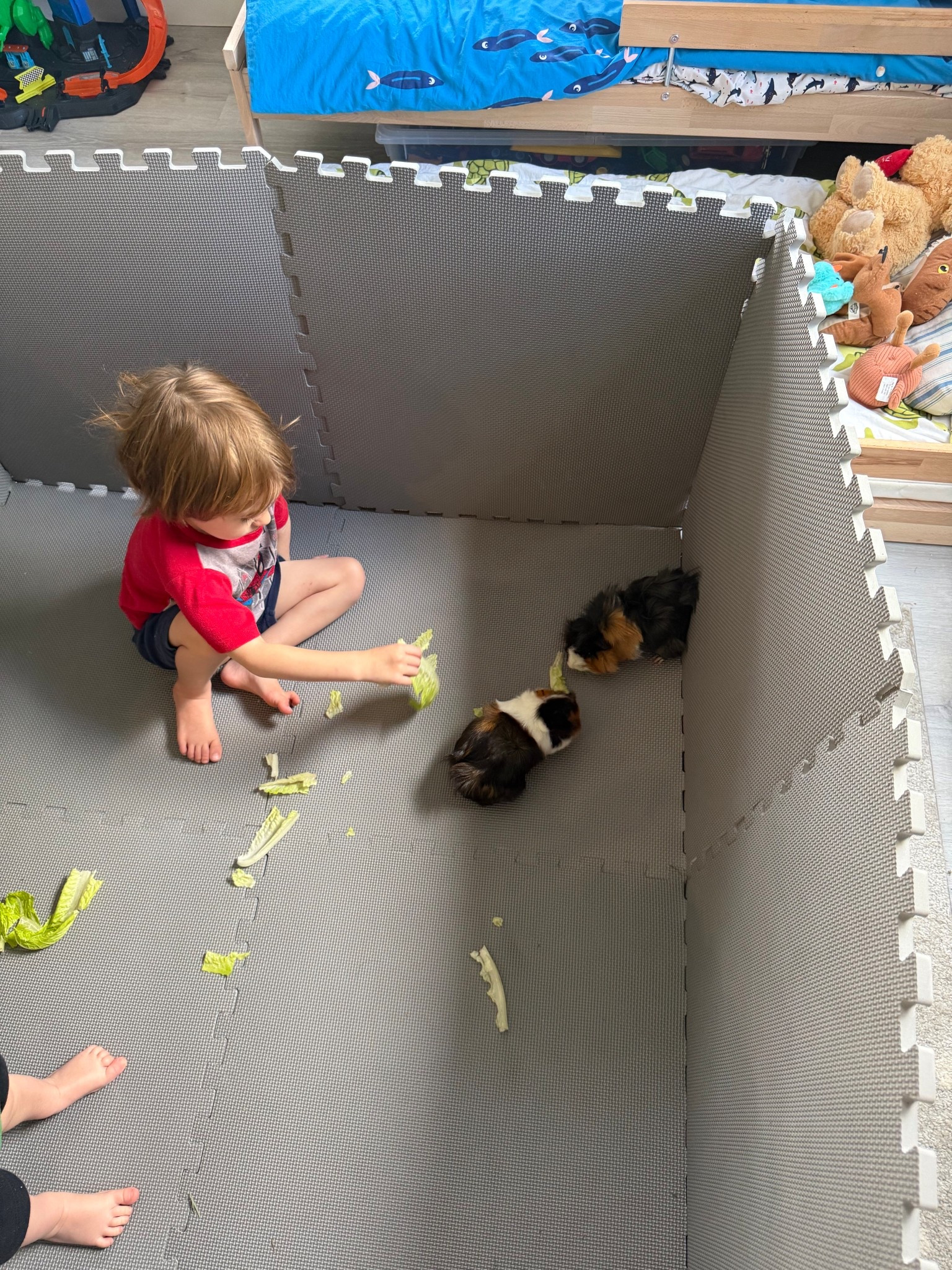 Kids foam blocks 

#LTKmomlife #LTKdayinmylife #LTKKids