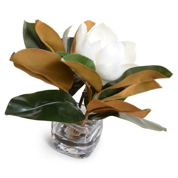 Magnolia Centerpiece in Vase | Wayfair North America