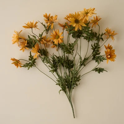 Wild Daisy Bouquet | Magnolia