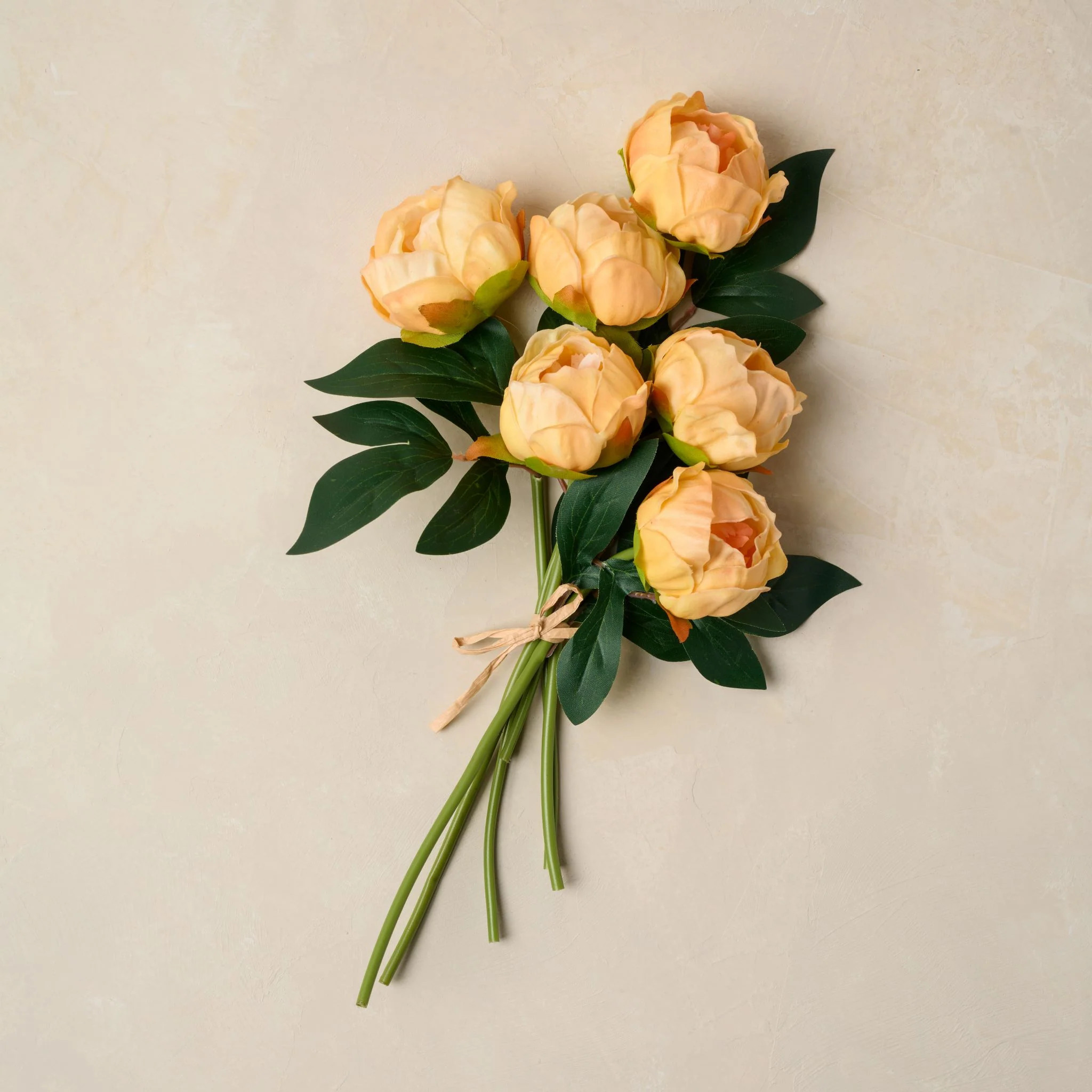 Peony Bundle | Magnolia