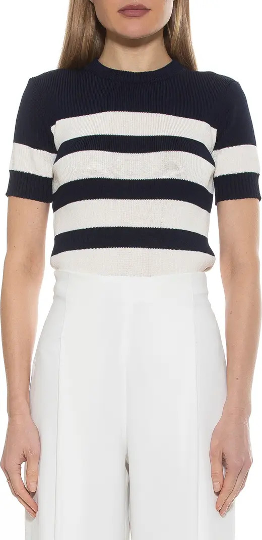 Pat Stripe Short Sleeve Sweater Top | Nordstrom Rack