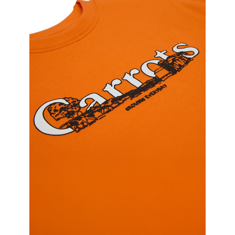 Carrots by Anwar Carrots, Kids Graphic Sweatshirt, Carrots Farm, Sizes XS-2XL | Walmart (US)