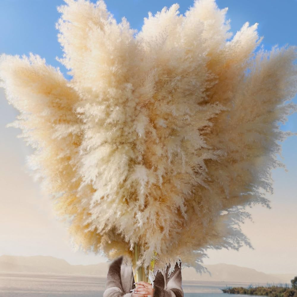 12pcs 40'' Dried Pampas Grass Decor - Tall-Large Pampas Grass - Natural Beige - Boho Home Decor | Amazon (US)