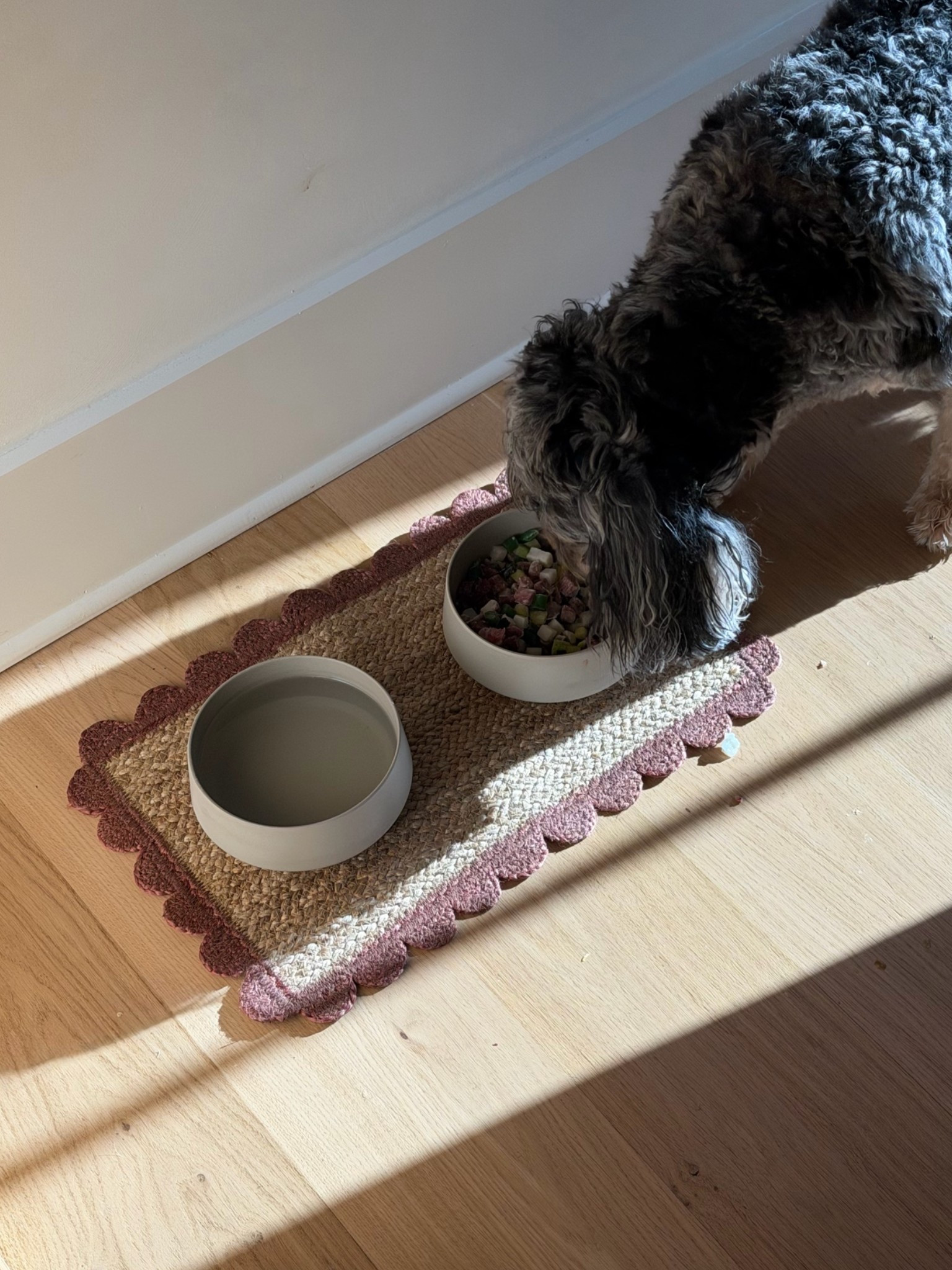 Cute new dog mats for the girls food