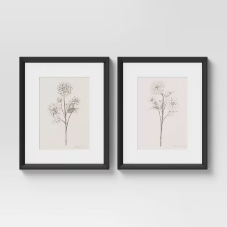 (Set of 2) 16" x 20" Framed Floral Sketch Framed Wall Art White - Threshold™ | Target