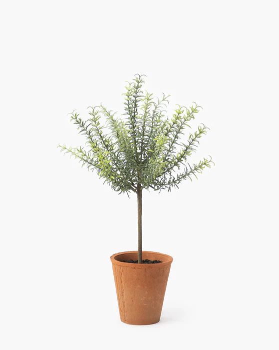Potted Faux Rosemary Topiary | McGee & Co.