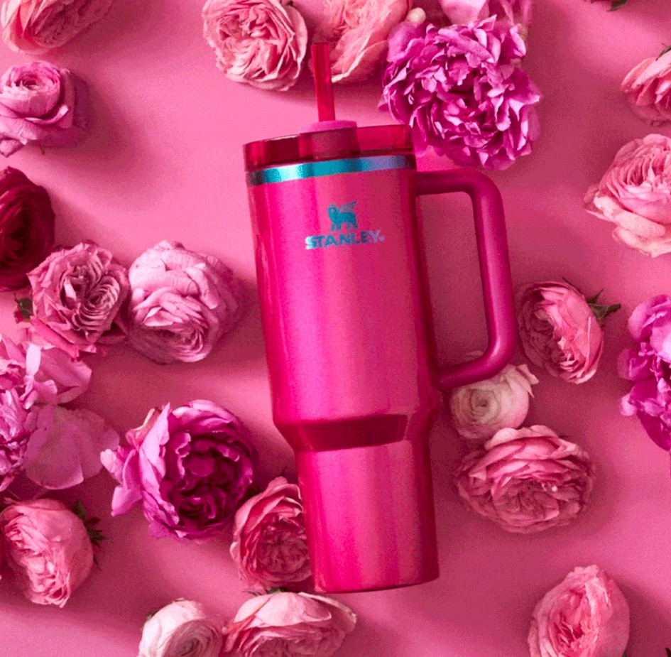 Valentine’s Stanley in Berry Truffle 🩷🍓

#LTKFitness #LTKFindsUnder50 #LTKGiftGuide