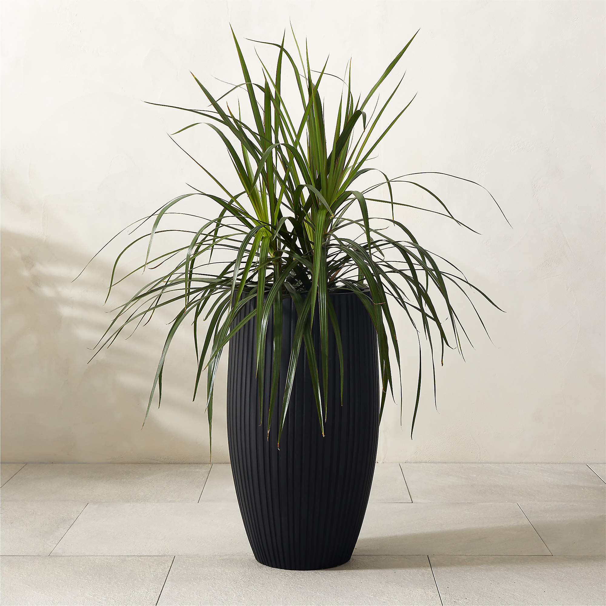 Zadie Black Resin Indoor/Outdoor Large Planter 25.25"H + Reviews | CB2 | CB2