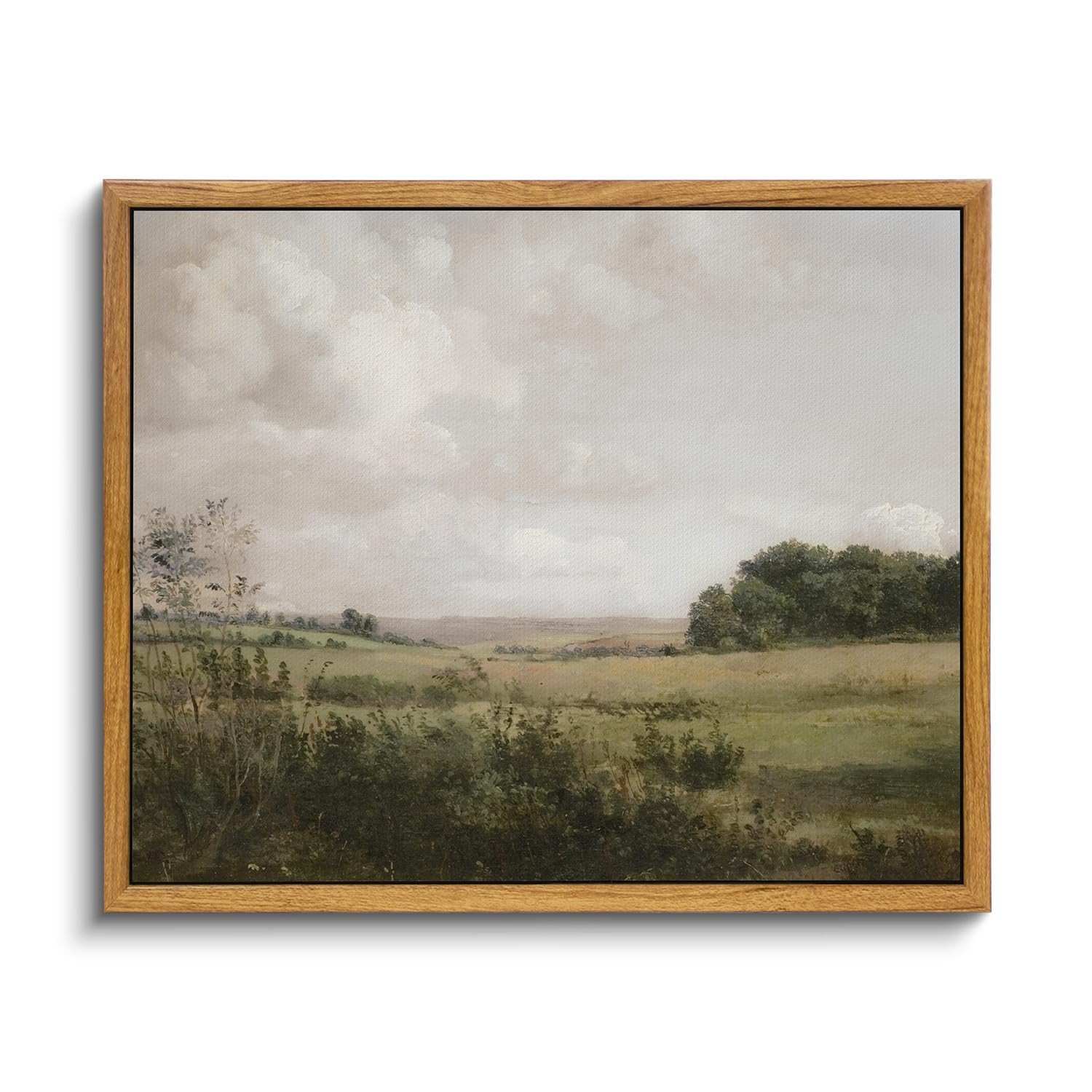 VIYYIEA Framed Canvas Wall Art Room Decor, Vintage Landscape Wall Art Prints, Vast Grassland Rust... | Amazon (US)