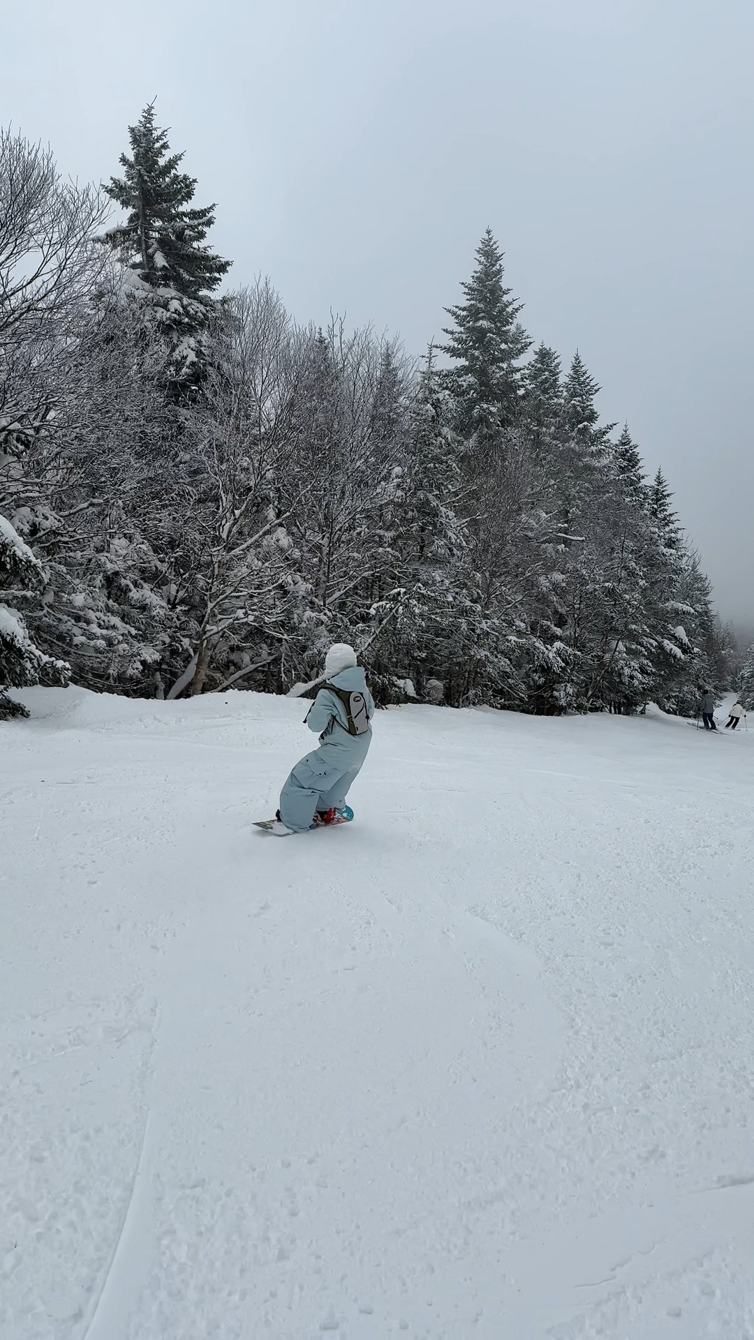 ski suit, ski outfit, snowboard set 

 