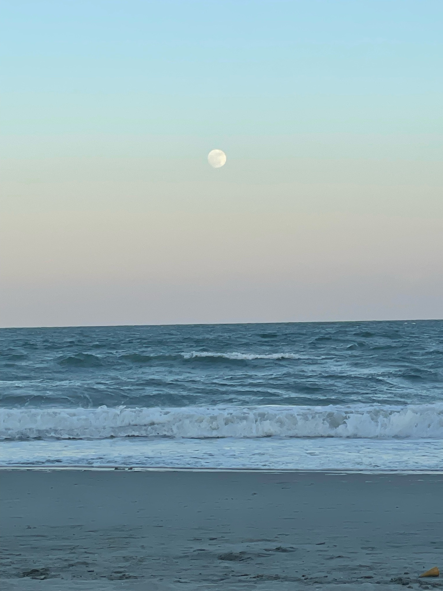 Beach outfits. Bikinis, sets, cover ups and all🌊

#LTKSummerSales #LTKFindsUnder100 #LTKSeasonal