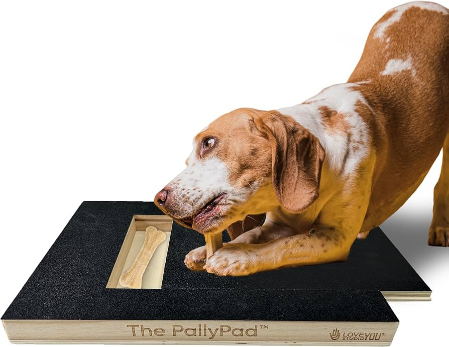 The 'PallyPad' Scratch Square for Dogs - Dog Scratch Pad with Treat Box - Dog Nail File Toy - Nai... | Amazon (US)