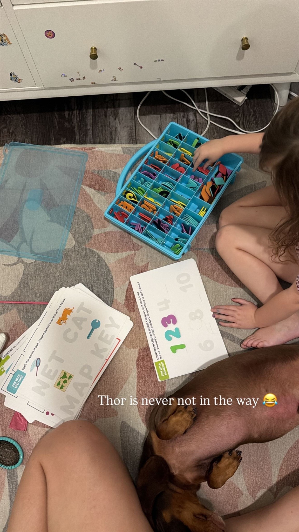 Such a great activity set for toddlers. Works on letters, numbers and shapes  