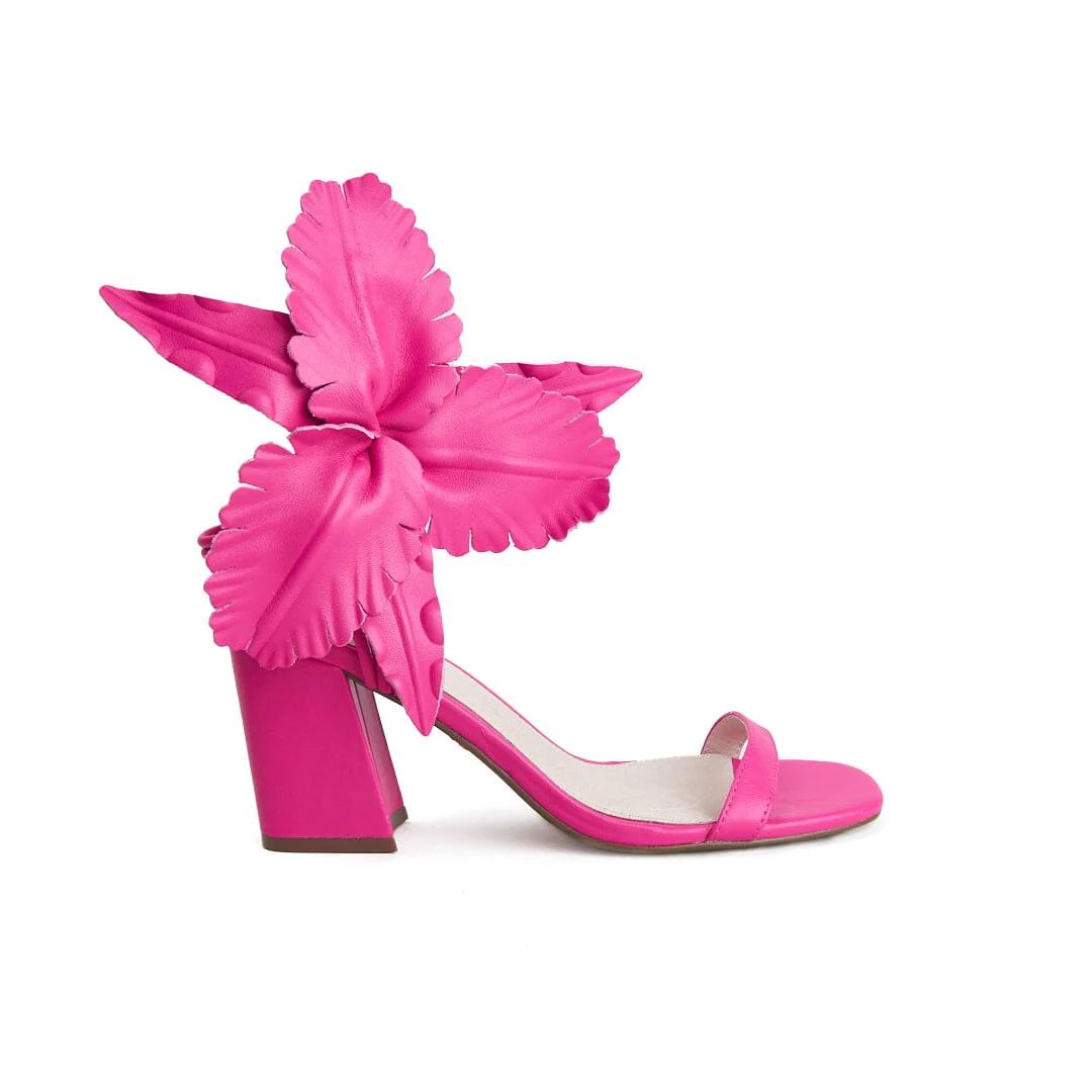 HIBISCUS | Cecelia New York