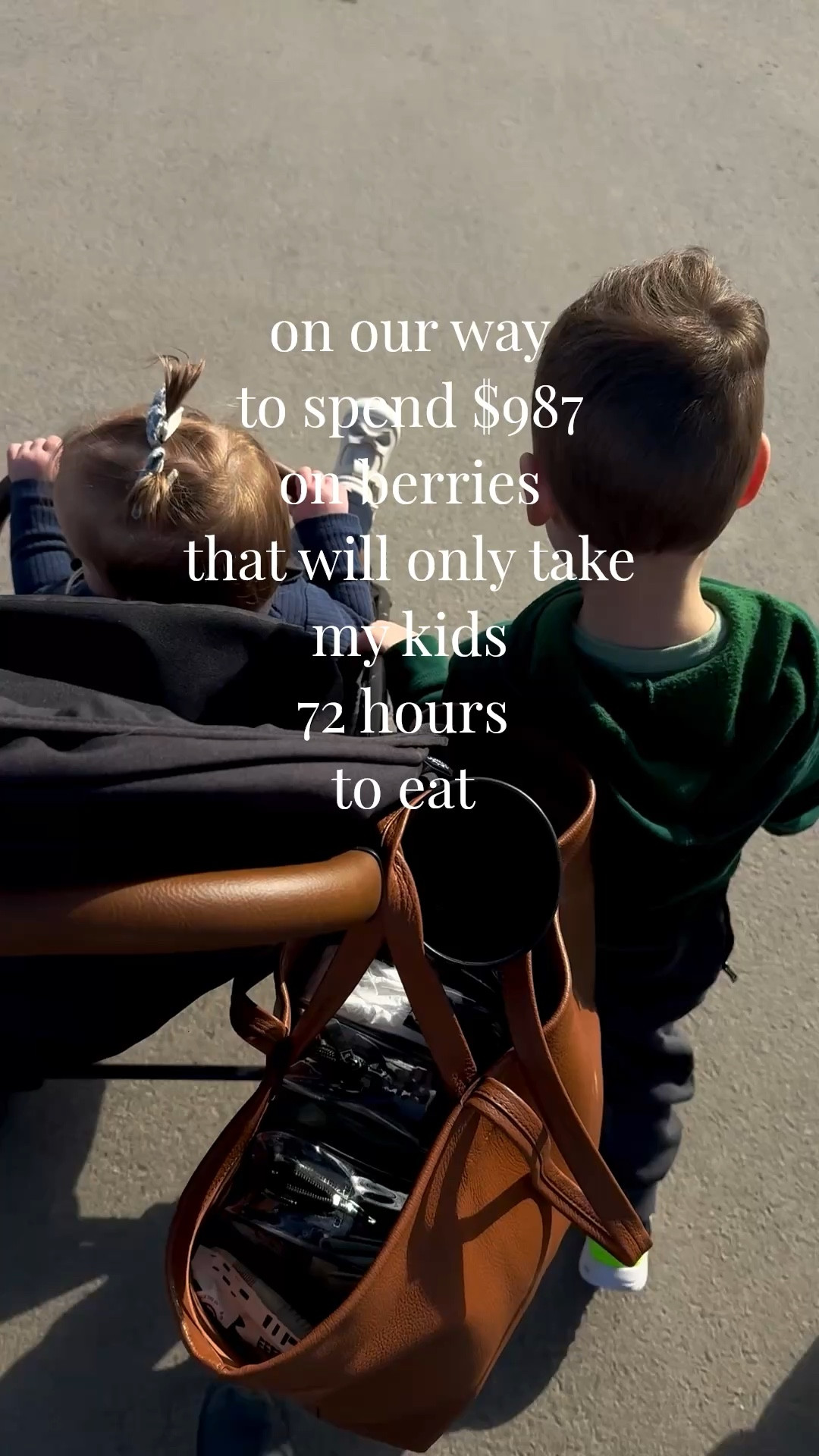 Once upon a time I could buy strawberries at the grocery store and actually get to eat some of them 

Linking the best on-the-go errand stroller and my favorite mom tote 

#LTKdayinmylife #LTKKids #LTKmomlife