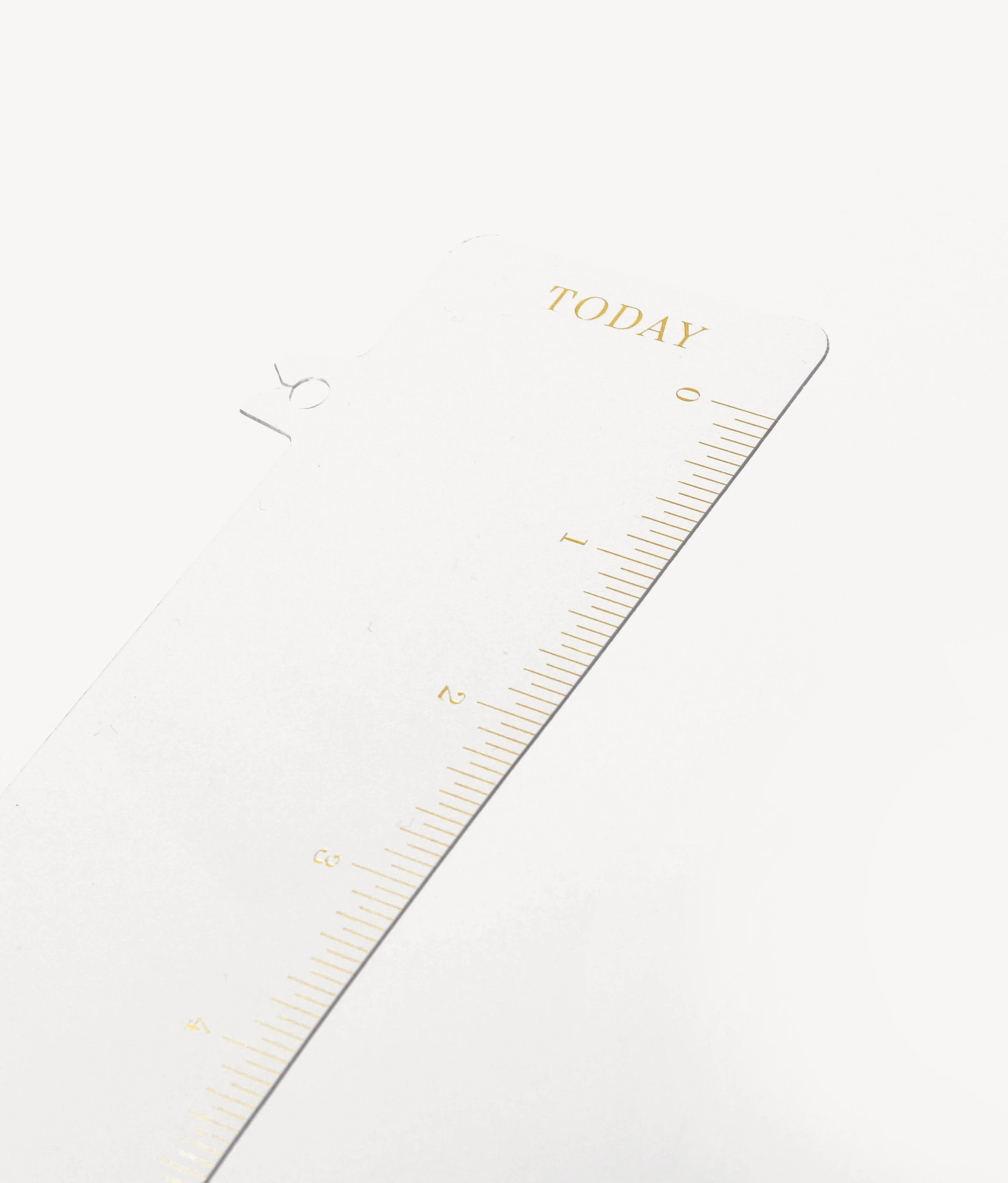 Flagship Bookmark Planner Ruler | Day Designer
