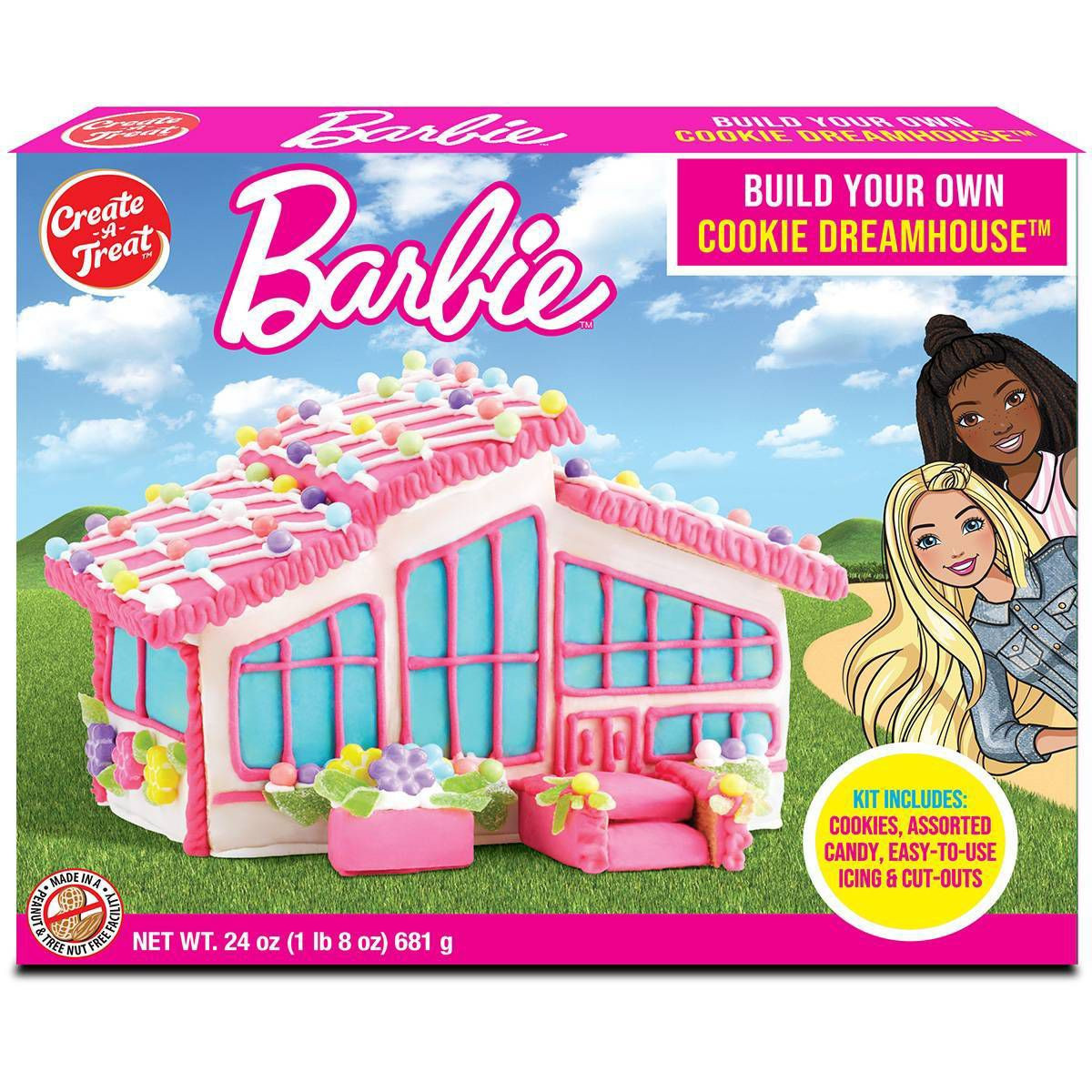 Christmas Barbie Dream House Kit - 24.01oz | Target