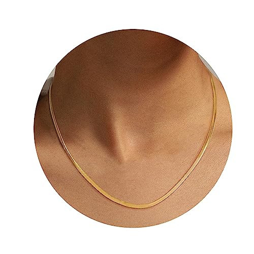 Jewenova 14K Real Gold Plated Necklace Flat Snake Chain Necklace Thin Gold Chain Dainty Chain Necklace Jewelry for Women | Amazon (US)