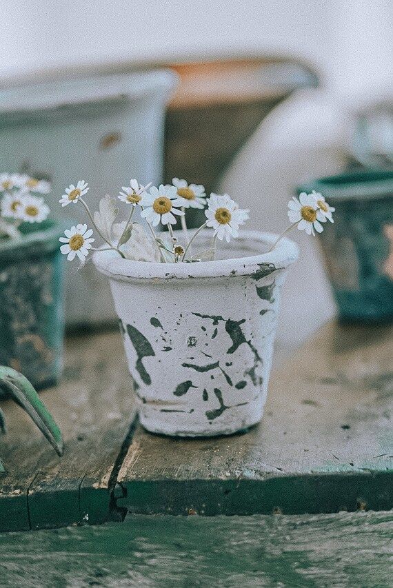 French Terra-cotta Pots | Etsy (CAD)