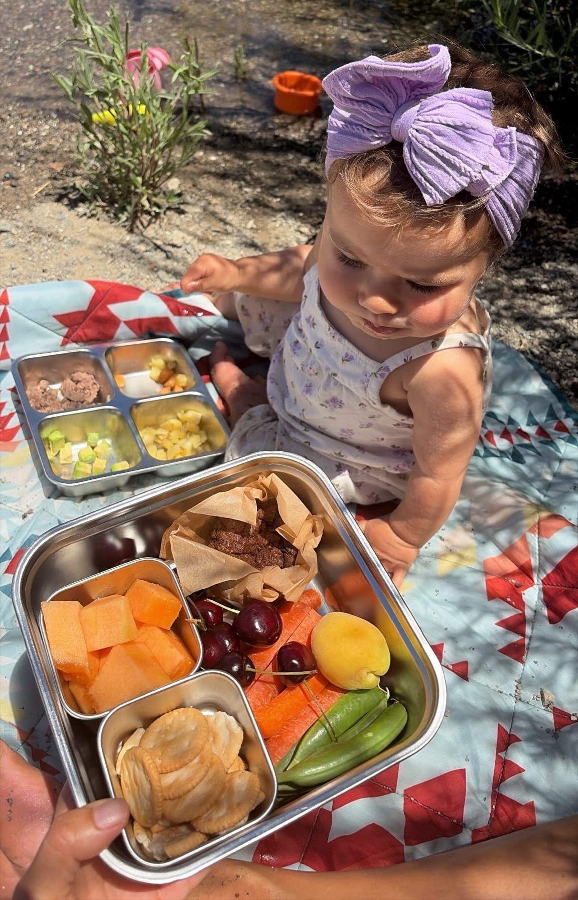 We are constantly eating on the go, and I’ve been loving these stainless steel containers!

#LTKKids #LTKmomlife #LTKfoodie