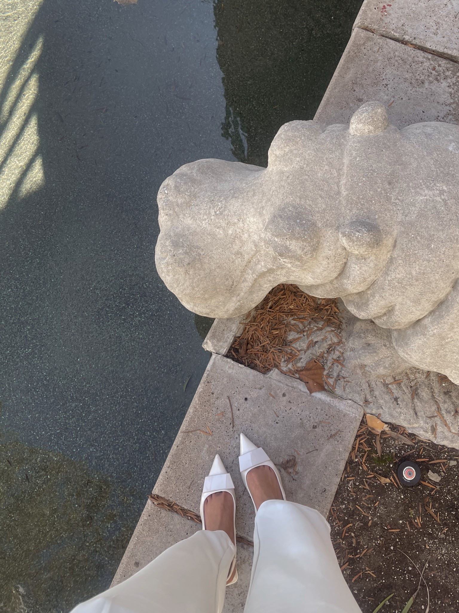 Forever a kitten heel girly 🤍 they’re perfect for any occasion- from casual work days to hanging out with hippos. 

Linking some super cute white heels for under $100 here!

#LTKootd #LTKdayinmylife #LTKWorkwear