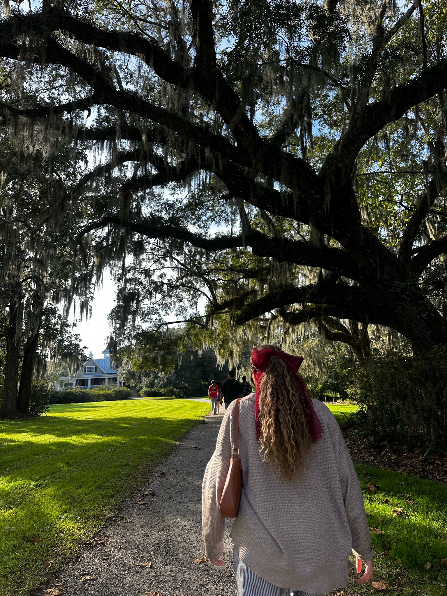 Tulle bow hair clip > perfect for Christmas holiday outfits!! 

#LTKHoliday #LTKSaleAlert #LTKSeasonal
