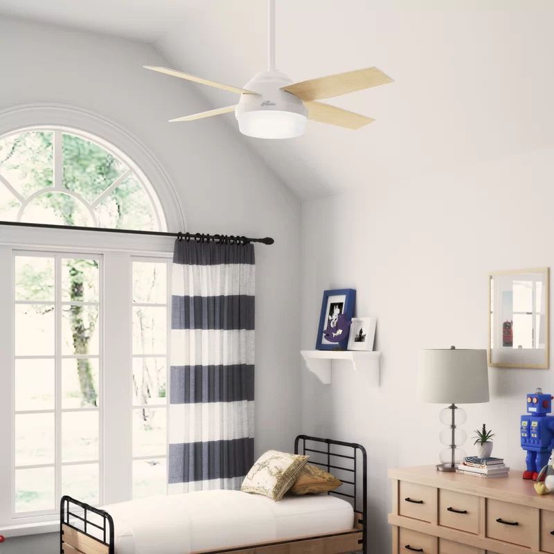 44'' Dempsey 4 - Blade Outdoor LED Standard Ceiling Fan with Remote Control and Light Kit Include... | Wayfair North America