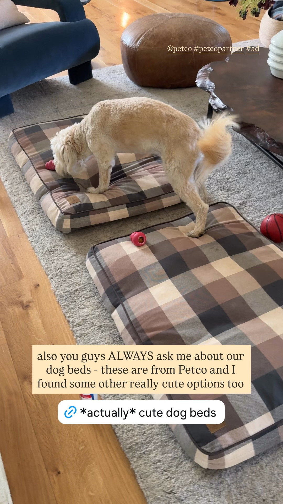 Our dogs get sooo bored when we leave the house so I asked my audience what they recommend to keep their dogs busy while they’re gone - these were by far the most recommended products. I ordered them from @petco and they arrived the same day! They’re some very happy dogs now:) Check out petco for all your pet needs (including some cute dog beds!) xx #petcopartner #ad