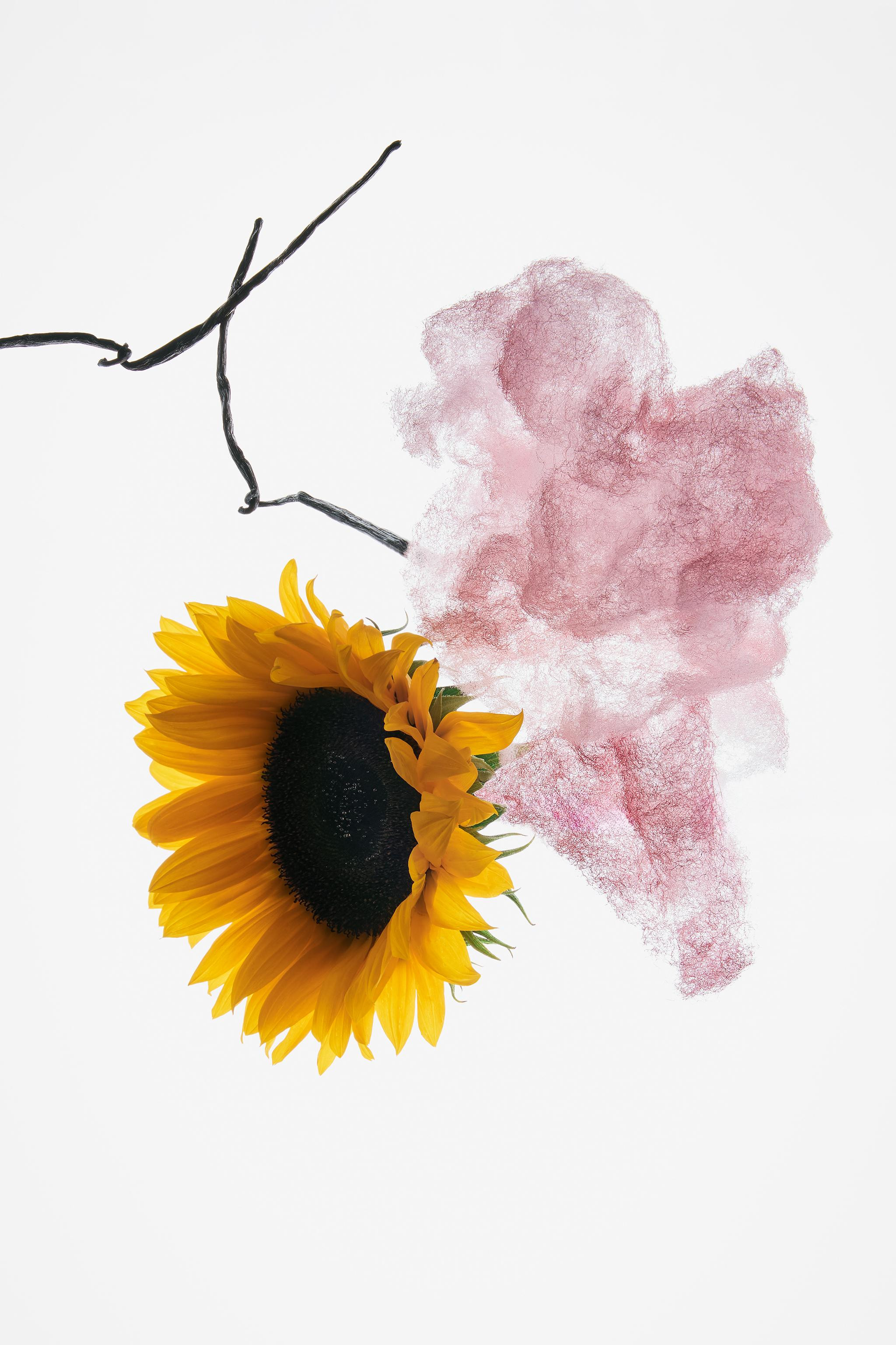 MARSHMALLOW ADDICT EDP 30ML (1.0 FL. OZ). | Zara IT