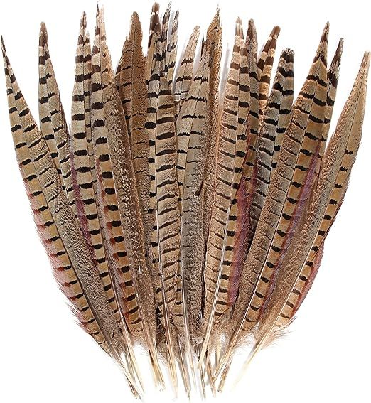 20pcs Male Pheasant Feather Natural Ringneck Tails Feathers 16-18inch 40-45cm for Crafts Home Wed... | Amazon (US)
