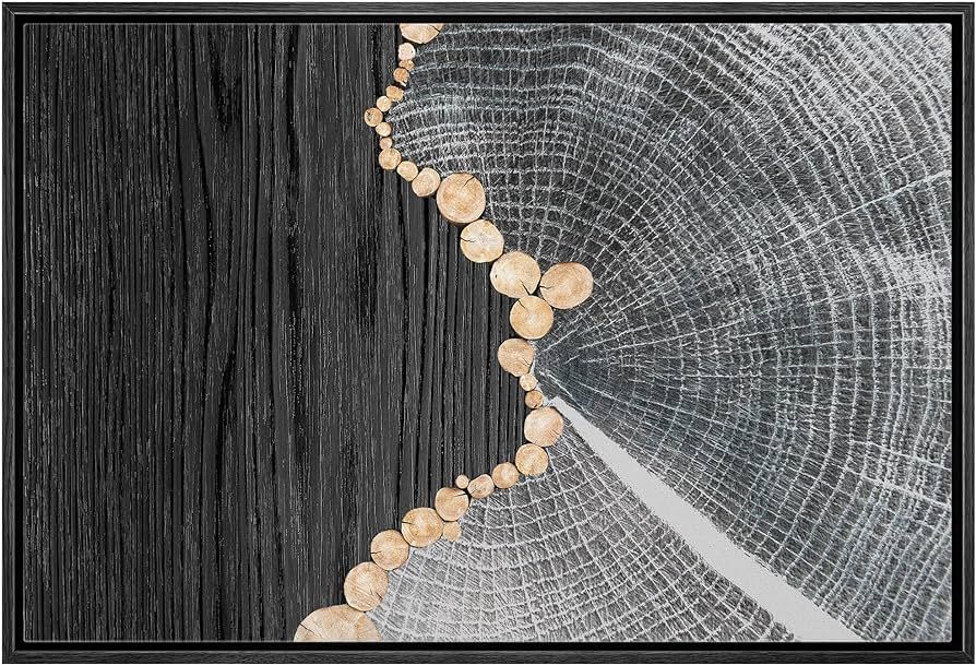 Color-Banner Framed Canvas Print Wall Art Black Wood Grain Geometric Metallic Ring Collage Abstra... | Amazon (US)