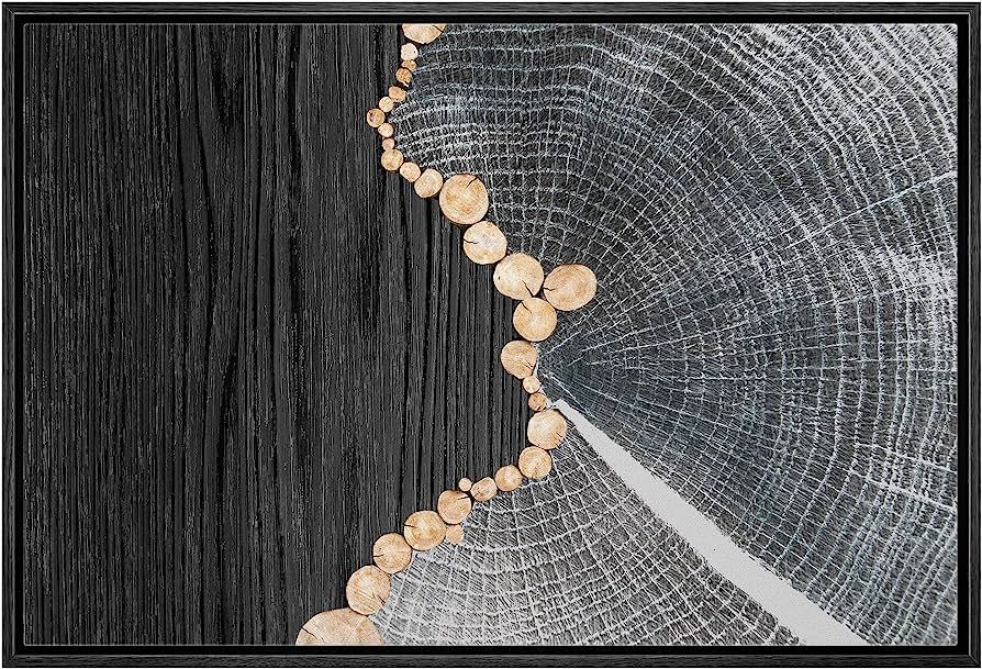 Color-Banner Framed Canvas Print Wall Art Black Wood Grain Geometric Metallic Ring Collage Abstra... | Amazon (US)