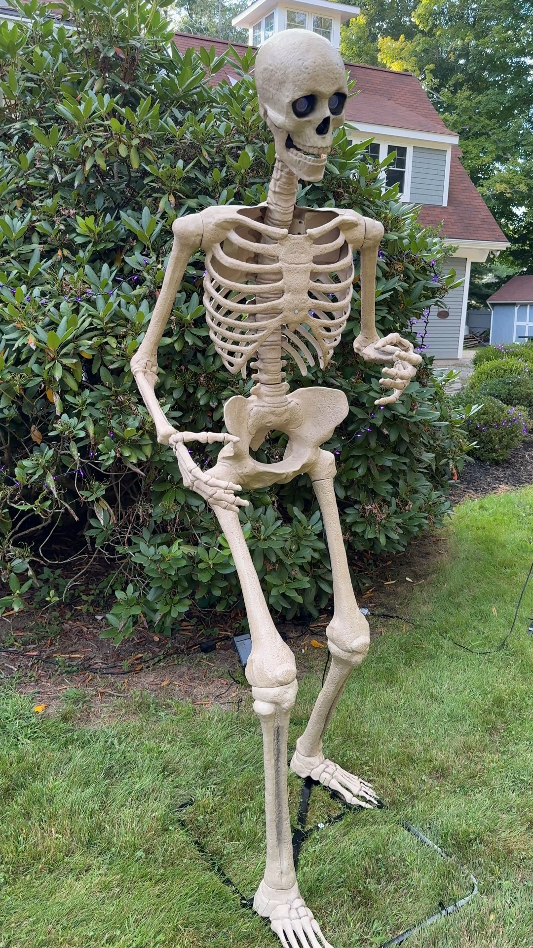 Talking skeleton light up skeleton Home Depot Skelton Halloween decor 

#LTKSeasonal #LTKHome