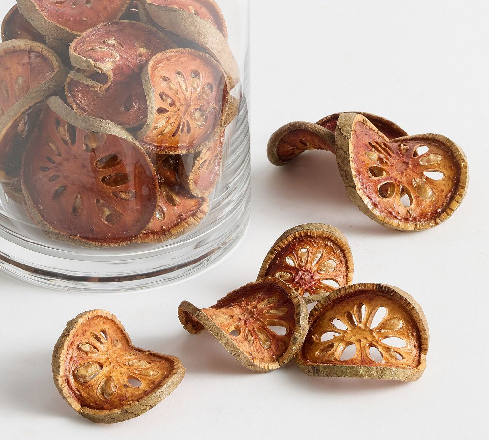 Quince Slice Vase Filler | Pottery Barn (US)