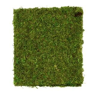 Moss Mat by Ashland® | Michaels | Michaels Stores