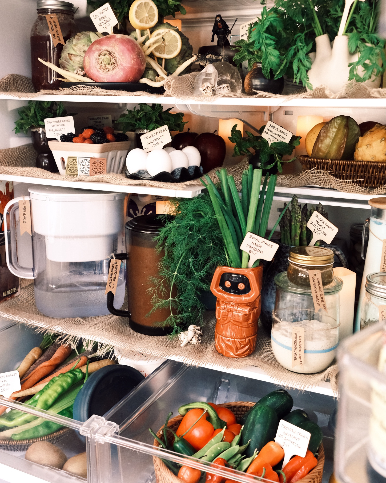 All the shoppable pieces for my Star Wars fridgescape.

May the 4th be with you! 

Star Wars merch, Star Wars decor, fridgescaping, fridge organization, kitchen organization, fridge decor, Jawa, Tusken raider, Tatooine, food storage 


#LTKHome #LTKKids #LTKFindsUnder100