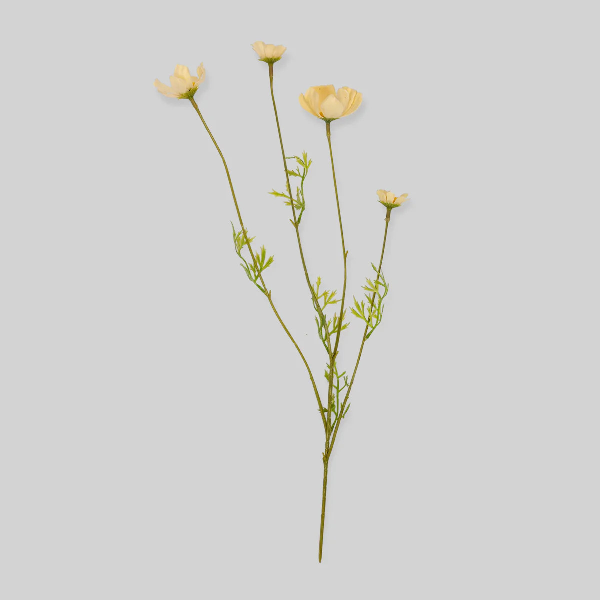 Artificial Cosmos Flowers | Soft Buttermilk Floral Stem | Bloomist, Inc