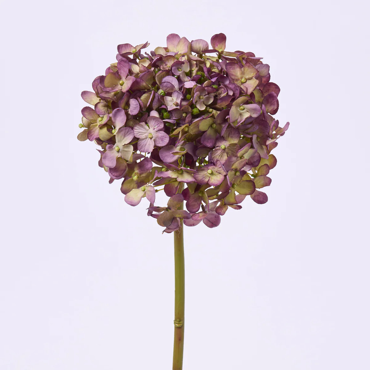 Dried Look Purple Eggplant Hydrangea Bloom Single Stem Faux Floral Spray  - 18" | Darby Creek Trading