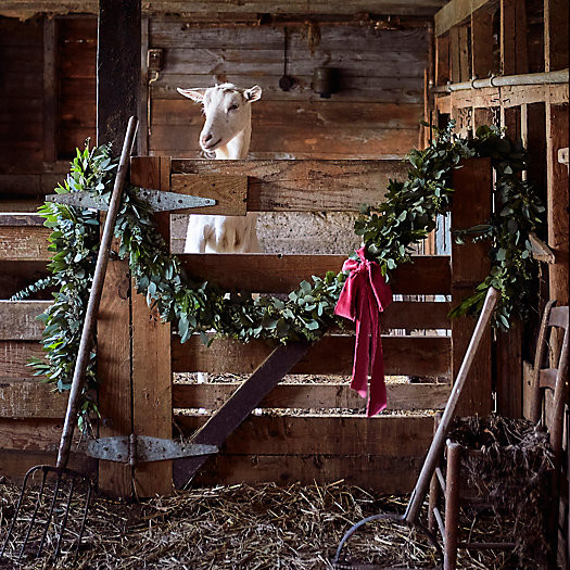 Fresh Eucalyptus + Bay Leaf Garland | Terrain