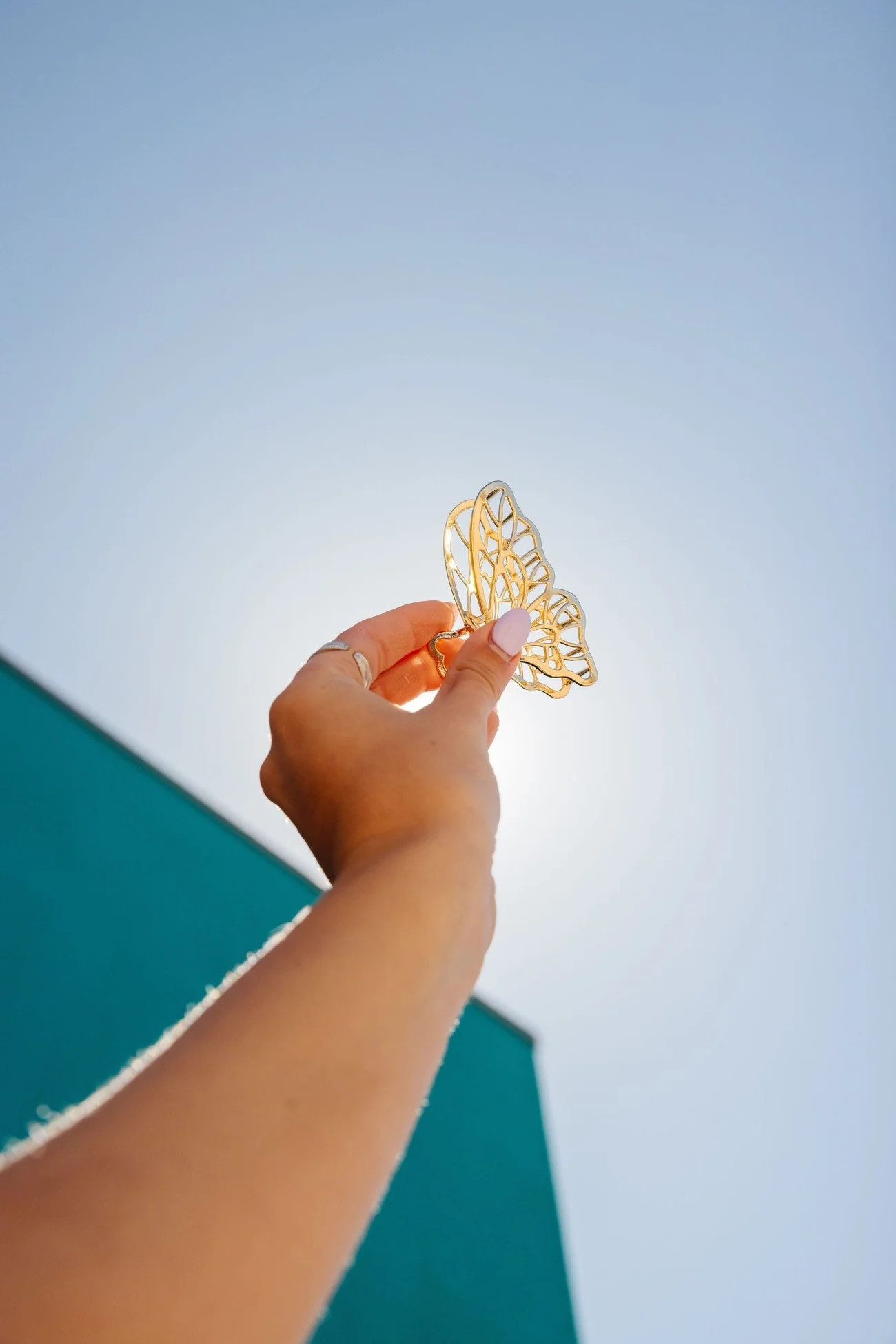 Butterfly Claw Clip | Shop Andi