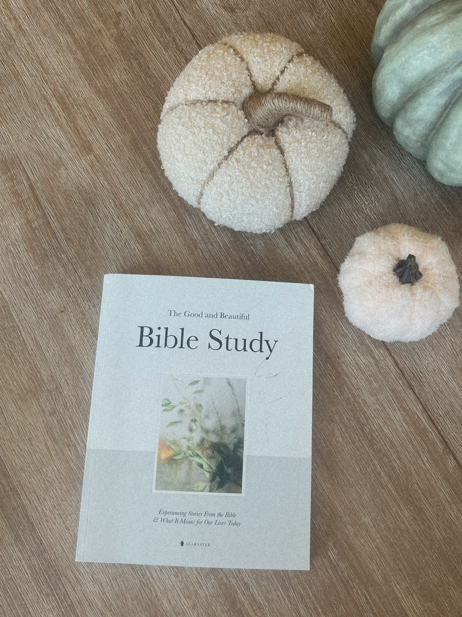 Bible study 