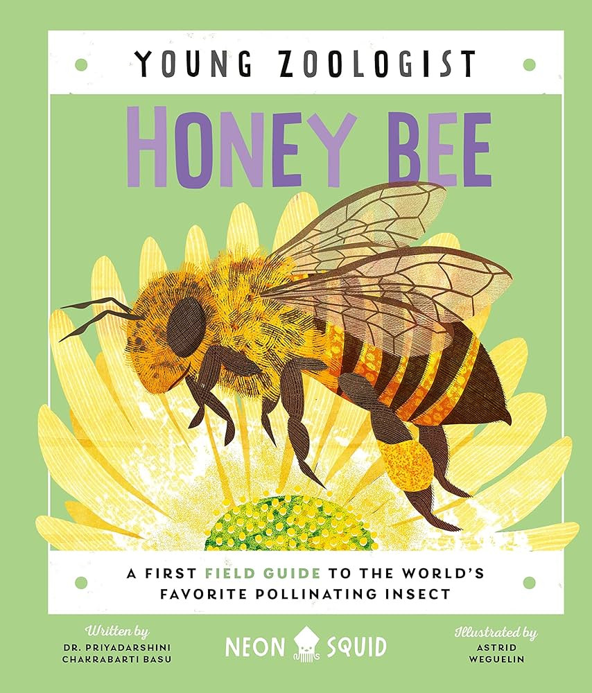 Honey Bee (Young Zoologist): A First Field Guide to the World's Favorite Pollinating Insect | Amazon (US)