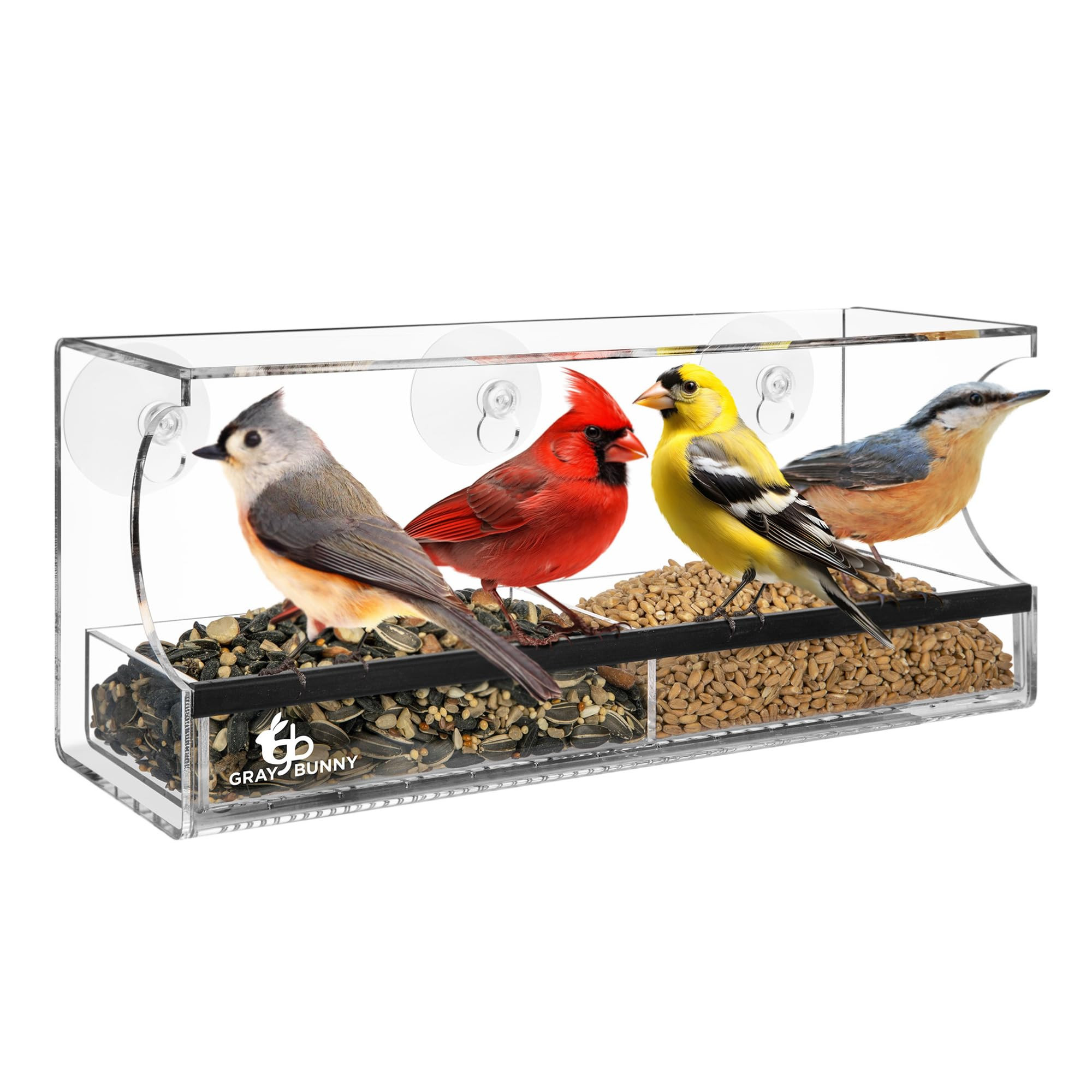 Extra Large Window Bird Feeders for Outside - Clear Bird Feeders for Viewing - Extra Strong Sucti... | Amazon (US)