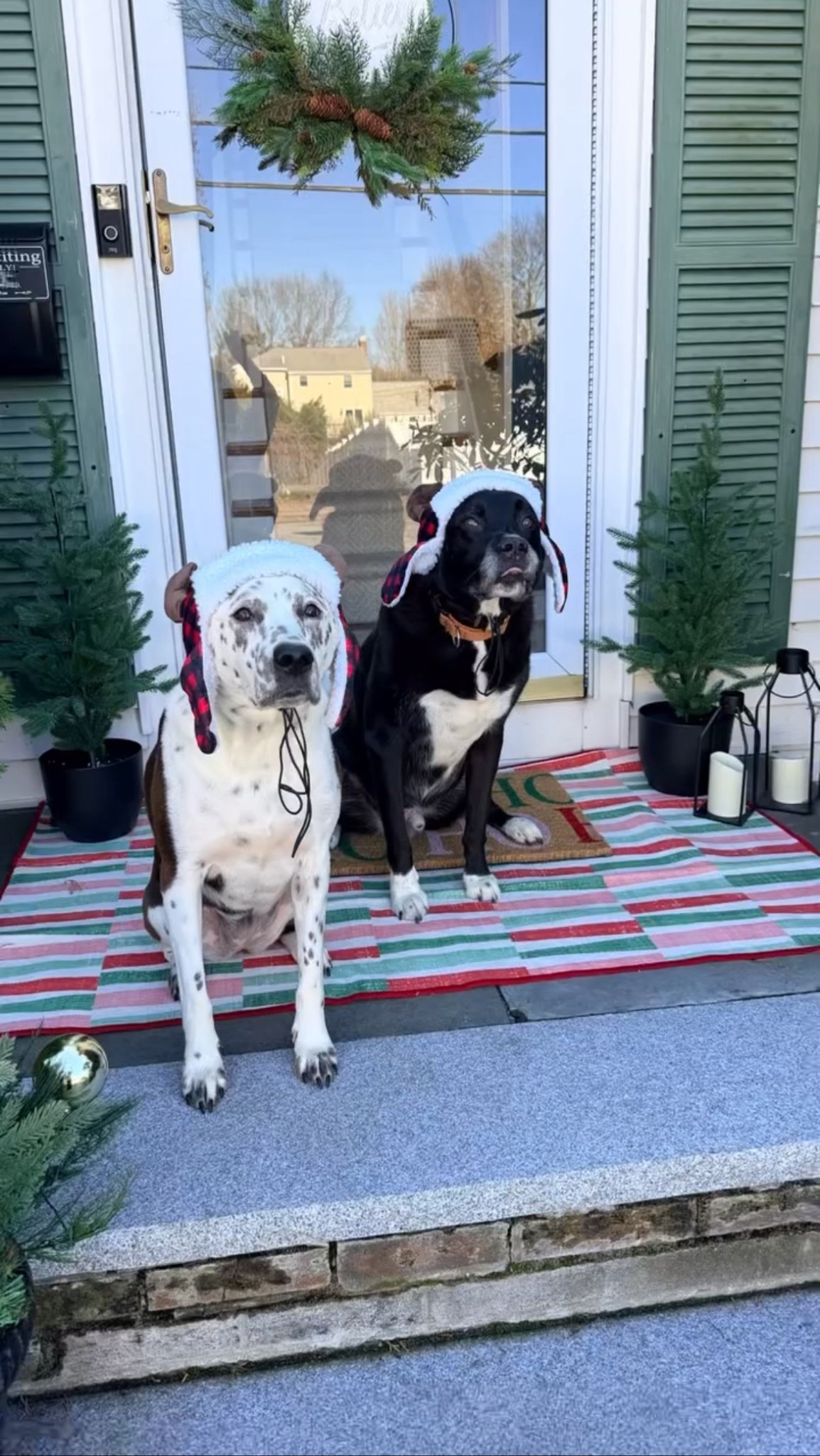 KT’s  front door is decorated for Christmas! #christmasdecor #christmasdogs 


Follow @kmdesignanddecor23 to see more ideas for decking the halls!
.
.
.
#colorfulchristmas #frontdoordecor #welcomingchristmas #christmasdecor rug
@genimorugus #washablerug pinkpinkpink ltkhome ltkseasonal homesweethome
homedecor christmasrug washablerug genimo ltkhomefortheholidays ltkhomedecor genimoxmasstyle 
christmas bathroom | christmas rug | who wore it best |washable rug

Use Code: VIPKM
https://genimorugs.com/collections/washable-christmas-rug?ref=KMDESIGNANDDECOR

#LTKHome #LTKSeasonal #LTKHoliday