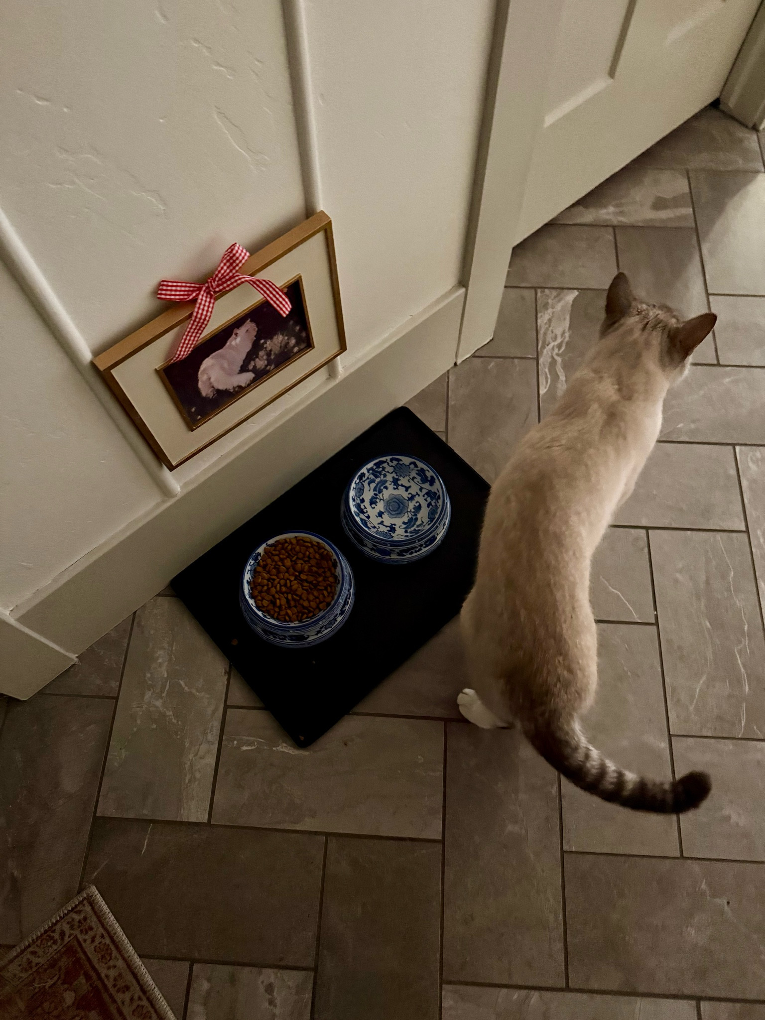 Fancy cat feeding bowls 

Chinoiserie vintage look 

#LTKHoliday #LTKHome #LTKGiftGuide