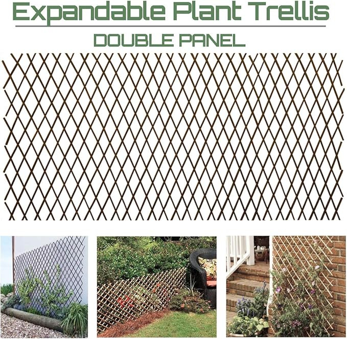 Garden Land Willow Expandable Plant Climbing Lattices Trellis Fence Support 36x92 Inch | Amazon (US)